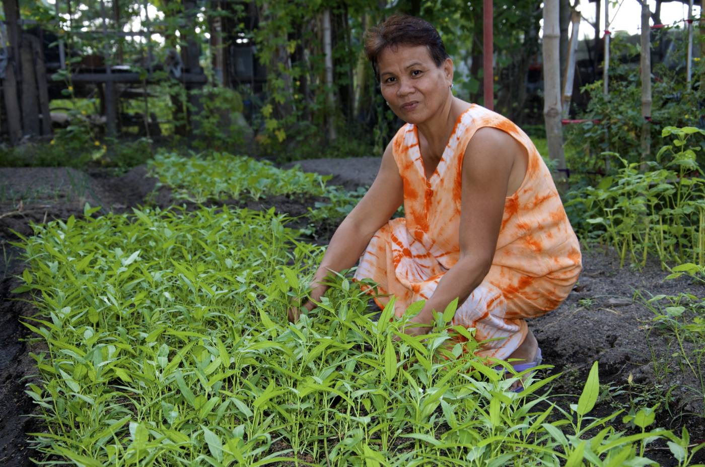 research about organic farming in the philippines